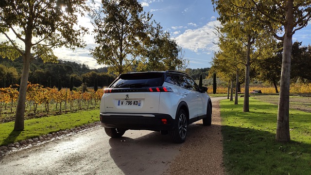 Elbiler på brugtmarkedet: Fordele og faldgruber